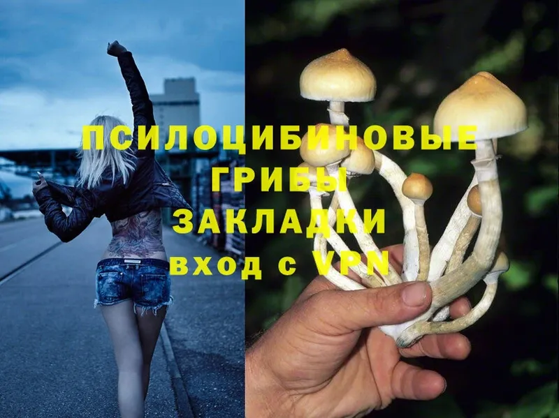 Псилоцибиновые грибы Psilocybine cubensis  Ак-Довурак 